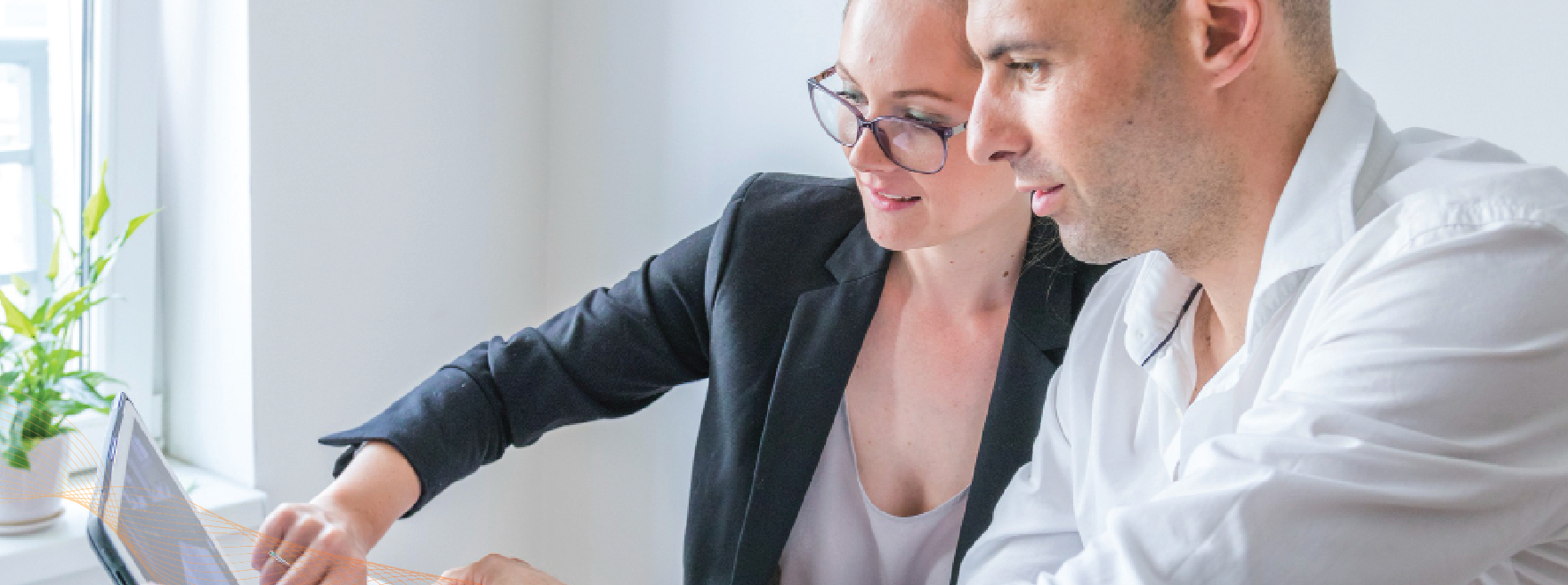 Software Architecture Assessment